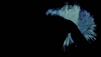 'Classic Pregnant Charm: My Secret 19th Century Diary'