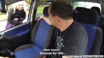 Sexy Young Hairy Pregnant Girl Fucks for Cash