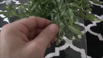 Little Step Sister Asks Big Step Brother To Make Her Pregnant - Lenna Lux - Family Therapy - Preview