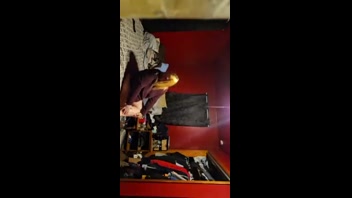 Hot Pregnant Passion Unleashed!